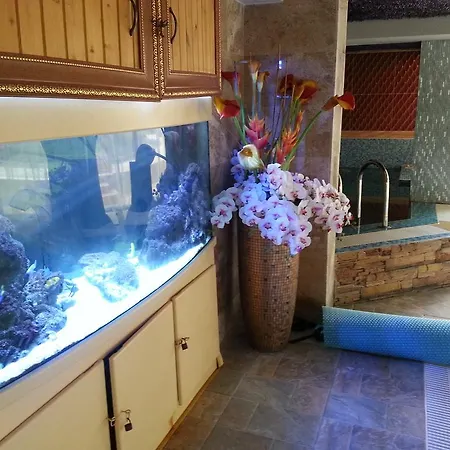 In Sweet Homes 3 * Slantschew brjag